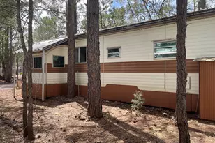 1930 Larson Rd, Lakeside, AZ 85929 - Photo 18