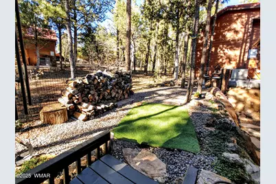 4481 S Elk Trot Loop, Show Low, AZ 85901 - Photo 22