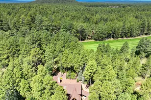 3065 Aspen Loop, Pinetop, AZ 85935 - Photo 44