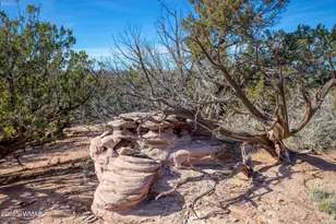 8555 Reata Ln, Snowflake, AZ 85937 - Photo 56