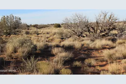 Lot 224 Ccr, Unit 2 #2, Heber, AZ 85928 - Photo 4