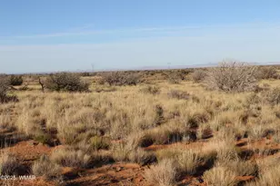 Lot 224 Ccr Unit 2, Heber, AZ 85928 - Photo 1