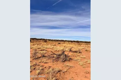 8581 Lawson Lane, Snowflake, AZ 85937 - Photo 6