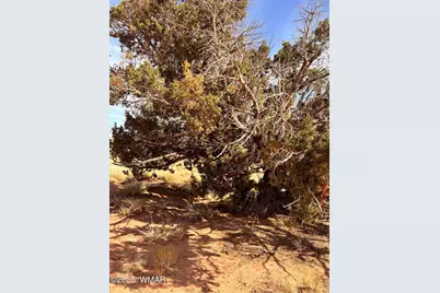 8581 Lawson Lane, Snowflake, AZ 85937 - Photo 2