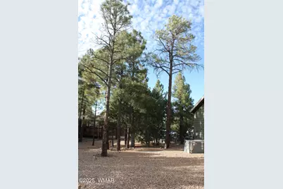 1260 S Deer Lane, Show Low, AZ 85901 - Photo 44