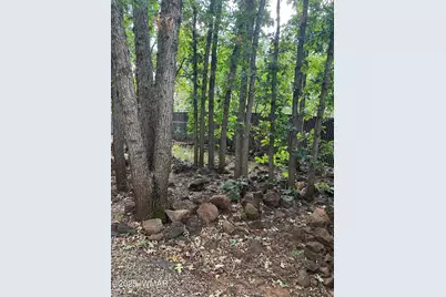 4012 Mark Twain Drive, Pinetop, AZ 85935 - Photo 8