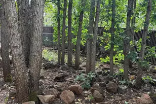 4012 Mark Twain Dr, Pinetop, AZ 85935 - Photo 8