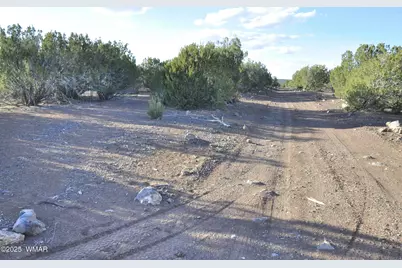 11D Lodge Pole Rd, Show Low, AZ 85901 - Photo 2