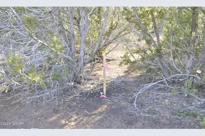 11D Lodge Pole Rd, Show Low, AZ 85901 - Photo 4
