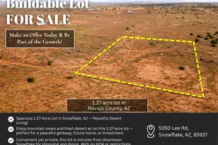 5350 Lee Rd, Snowflake, AZ 85937 - Photo 1