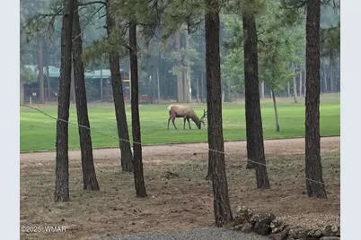 7451 Buck Springs Road, Pinetop, AZ 85935 - Photo 36