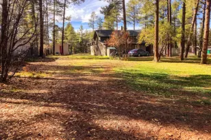 6673 Forest Ave, Lakeside, AZ 85929 - Photo 4