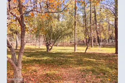 6673 Forest Avenue, Lakeside, AZ 85929 - Photo 30