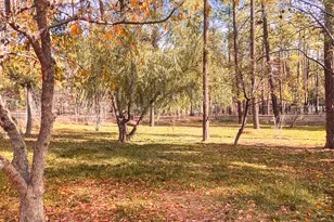 6673 Forest Ave, Lakeside, AZ 85929 - Photo 30