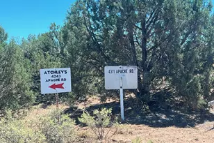 4129 Apache Rd, Snowflake, AZ 85937 - Photo 48