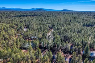 7185 Moon Creek Cir, Pinetop, AZ 85935 - Photo 36