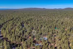 7185 Moon Creek Cir, Pinetop, AZ 85935 - Photo 36