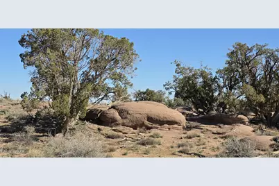 5085 Concho Ocho Road, Snowflake, AZ 85937 - Photo 16