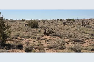 5085 Concho Ocho Road, Snowflake, AZ 85937 - Photo 8