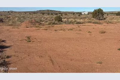 914 Peach Blossom Lot 2 Lane, Snowflake, AZ 85937 - Photo 4