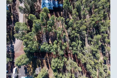 146 Deer Run Road, Lakeside, AZ 85929 - Photo 28