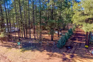 146 Deer Run Rd, Lakeside, AZ 85929 - Photo 26