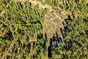 Tbd Cr N2121, Alpine, AZ 85920 - Photo 1