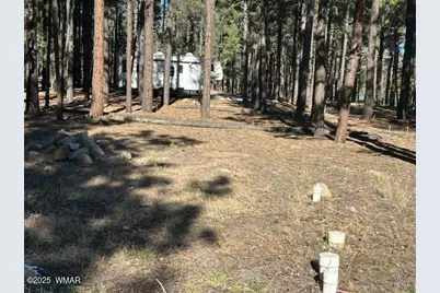 Tbd Cr N2121, Alpine, AZ 85920 - Photo 2