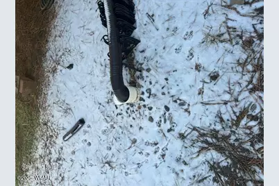 Tbd Cr N2121, Alpine, AZ 85920 - Photo 10