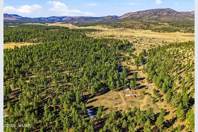 Tbd Cr N2121, Alpine, AZ 85920 - Photo 16