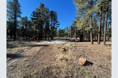 Tbd Cr N2121, Alpine, AZ 85920 - Photo 8