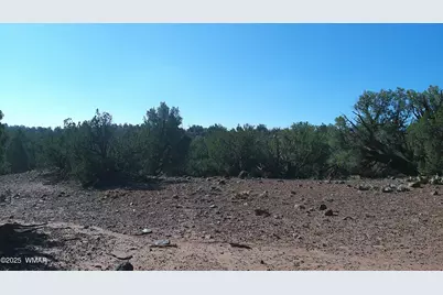 9591 Privette Trail, Snowflake, AZ 85937 - Photo 42