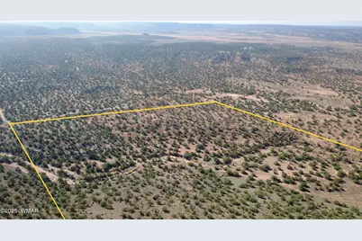 9591 Privette Trail, Snowflake, AZ 85937 - Photo 4