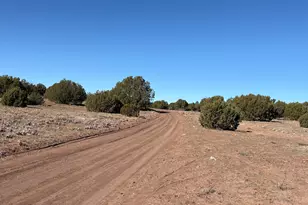 Tbd N8715, Concho, AZ 85924 - Photo 1