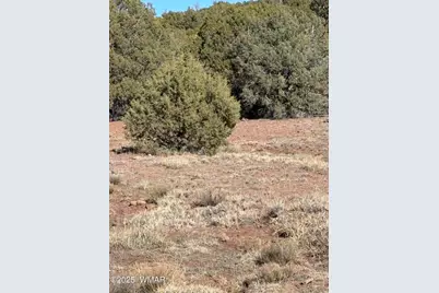 Tbd N8715, Concho, AZ 85924 - Photo 2