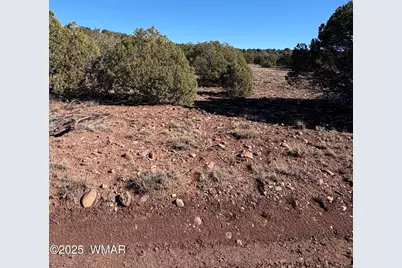 Tbd N8715, Concho, AZ 85924 - Photo 4