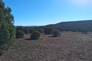 5 N8715, Concho, AZ 85924 - Photo 1