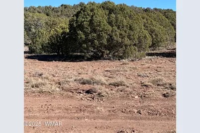 5 N8715, Concho, AZ 85924 - Photo 6