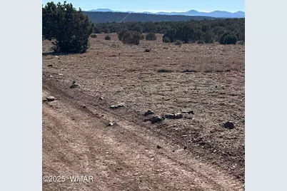 5 N8715, Concho, AZ 85924 - Photo 2