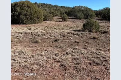 Tbd N8716, Concho, AZ 85924 - Photo 8
