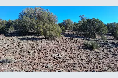 Tbd N8716, Concho, AZ 85924 - Photo 4