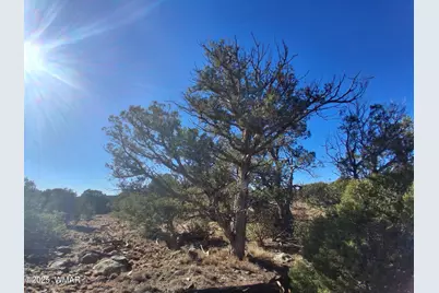 Tbd N8716, Concho, AZ 85924 - Photo 6