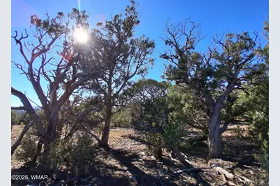 Sw N8716, Concho, AZ 85924 - Photo 8