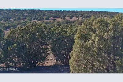 Sw N8716, Concho, AZ 85924 - Photo 2