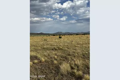 53C County Road 3373, Concho, AZ 85924 - Photo 4