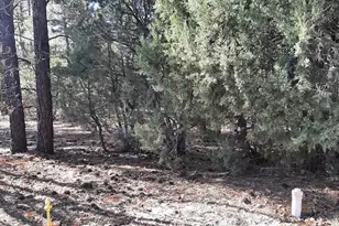 3321 W Mariposa Ln, Show Low, AZ 85901 - Photo 1