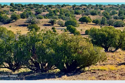 228 County Rd N9328, Concho, AZ 85924 - Photo 6