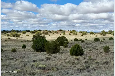 228 County Rd N9328, Concho, AZ 85924 - Photo 12