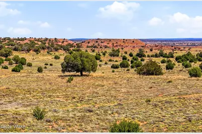 228 County Rd N9328, Concho, AZ 85924 - Photo 16