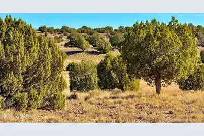 228 County Rd N9328, Concho, AZ 85924 - Photo 10